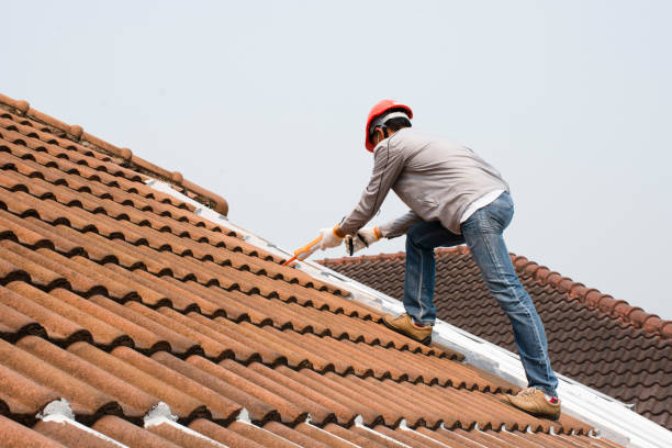 Roof Moss and Algae Removal